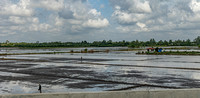 VN_1475-3871-E