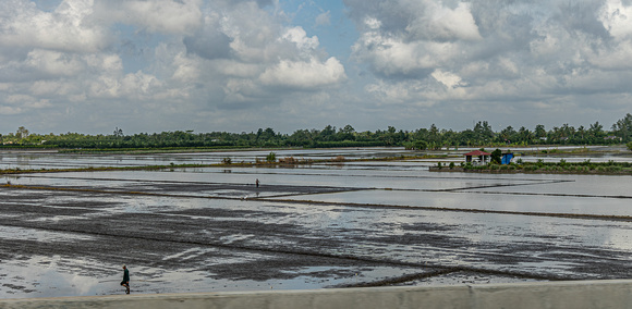 VN_1475-3871-E