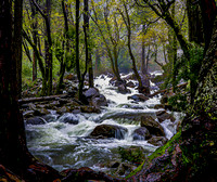 Bridal Veil Creek  4151 Yosemite NP