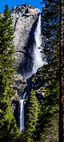 Yosemite Falls 1643
