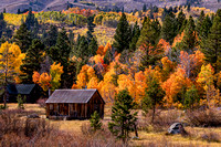 0878 Fall Colors-Lscape