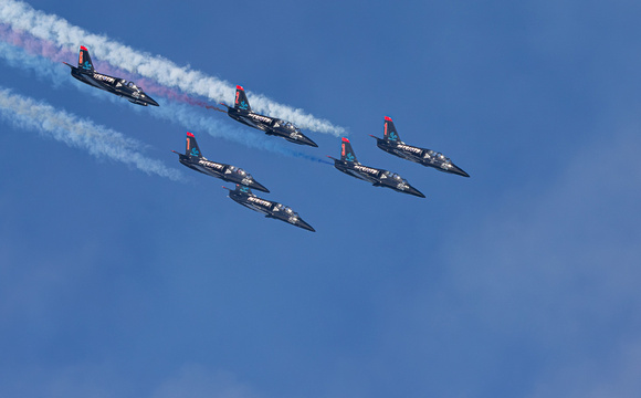 4- 6947 Patriots L-39 Albatross